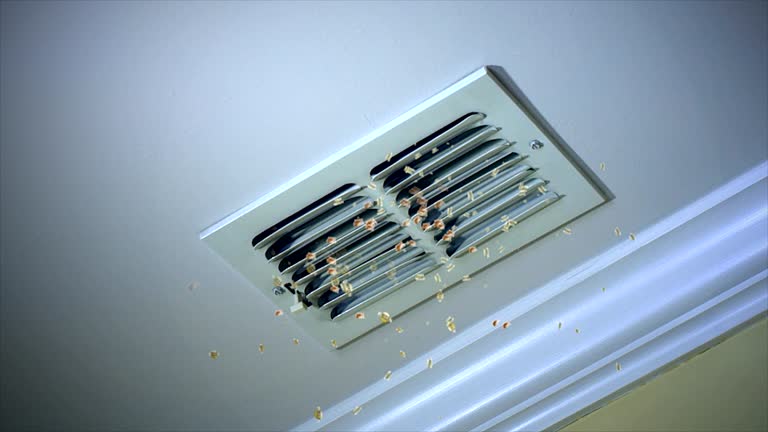 Best Air Duct Sanitizing Services  in Oak Grove, KY