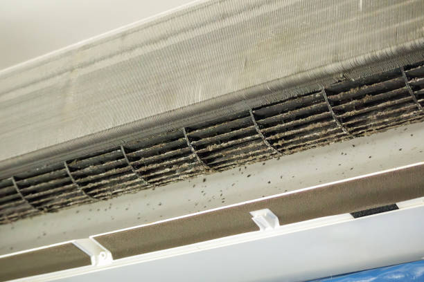 Best Local Air Duct Cleaning Services  in Oak Grove, KY